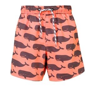 Snapper Rock Whale Pool Shorts